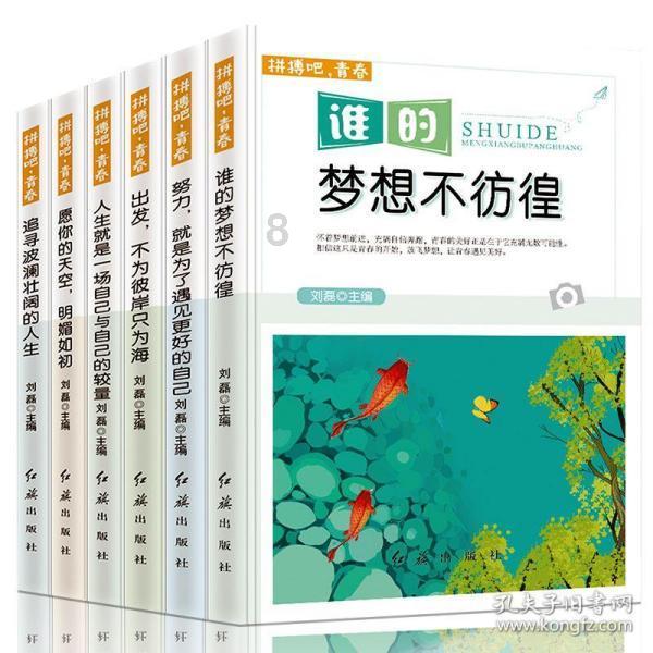 CPO概念走出独立行情，核心龙头股收益率“靓”了