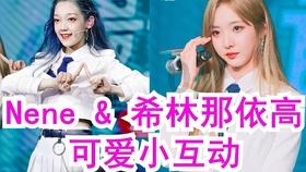 《三国志·战棋版》S5赛季武将实用性排行，哪些武将最重要？